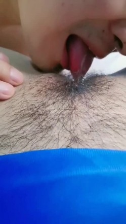 预览图6