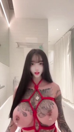 预览图4