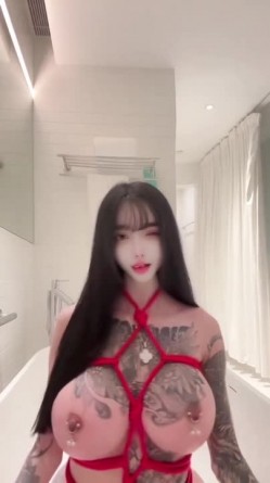 预览图5