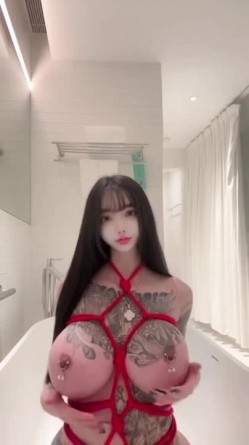 预览图7