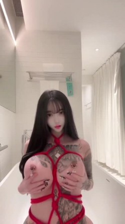 预览图14