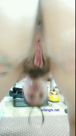 预览图13