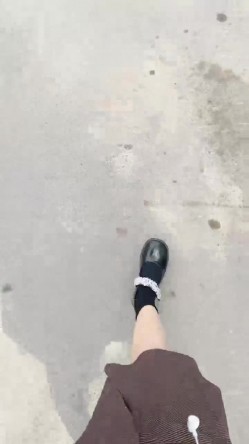 预览图9