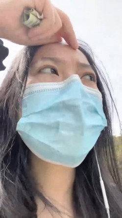 预览图12