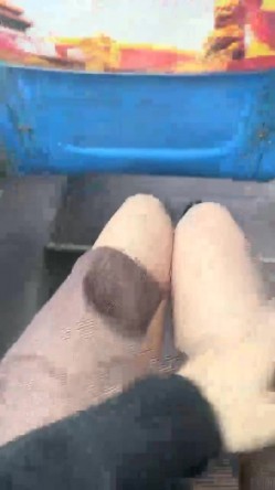 预览图13