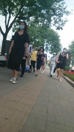 预览图15