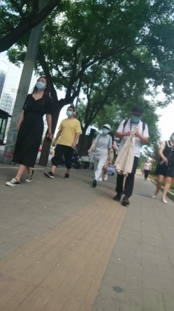 预览图16