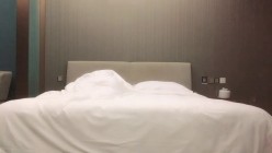 预览图16