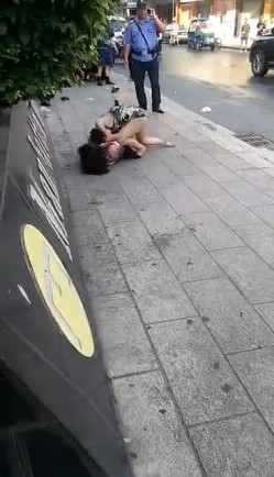 预览图1