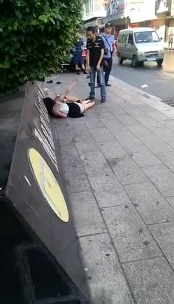 预览图2