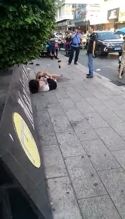 预览图4