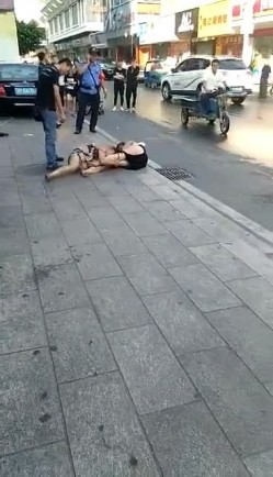 预览图6