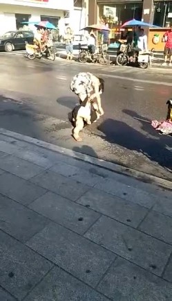 预览图11