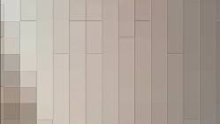 预览图5