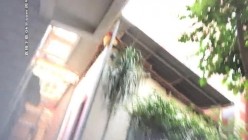 预览图16