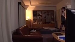 预览图9