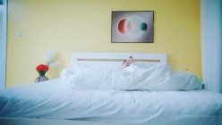 预览图7