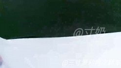 预览图1