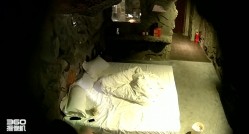 预览图5
