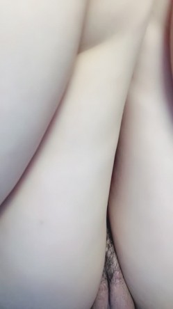 预览图14