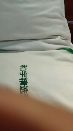 预览图4