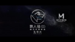 预览图14