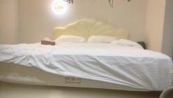 预览图4