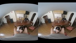 预览图5