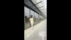 预览图12