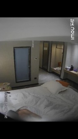 预览图10