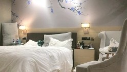 预览图9