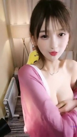 预览图15