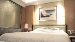 预览图4