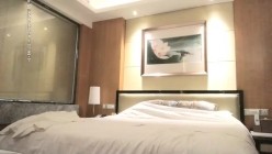 预览图5