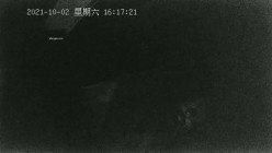 预览图8