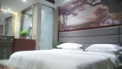 预览图1