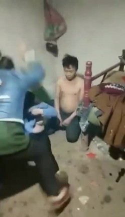 预览图5