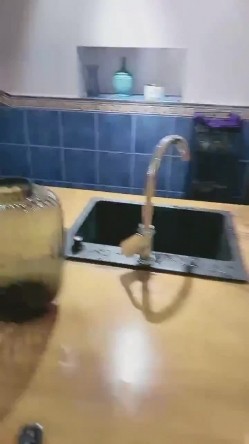 预览图15