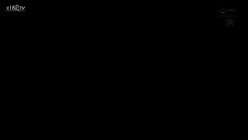 预览图16