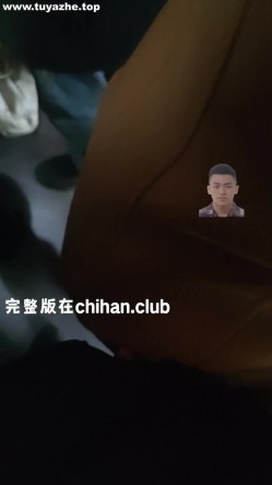 预览图4