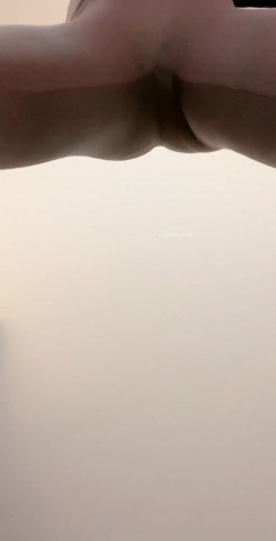 预览图5