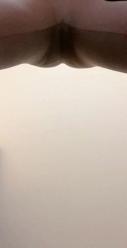 预览图6