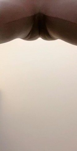 预览图8