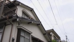 预览图16