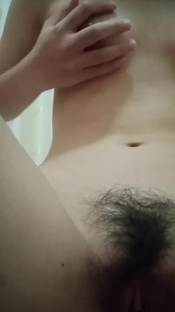 预览图15