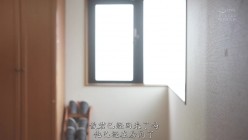 预览图6
