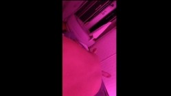 预览图9