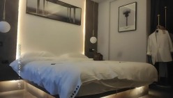 预览图4