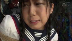 预览图5