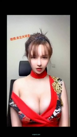 预览图4